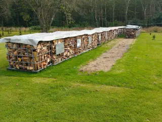 Fyrings klar brænde