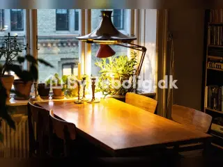 Solnedgange, æbletræer og ro midt på Nørrebro til 3.535/m.