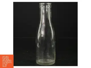 Genbrugsglasflasker (str. H. 19 cm. 250 ml)