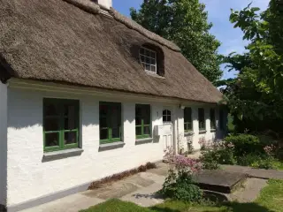 Sommerhus p� Drej� til 4