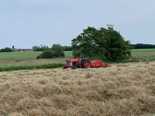 Øko Hø i Morten Korch baller