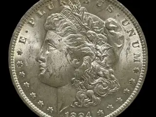 Morgan Dollar 1884