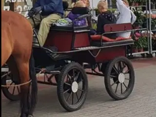 Hestevogn / træningsvogn til 4-6 personer