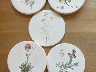 Flora Danica smørbrikker