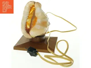 Skaldyrsformet bordlampe (str. 14x16 cm)