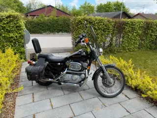 Velholdt Harley-Davidson XL883 53 Custom