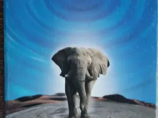 Elefanternes Lange Rejse
