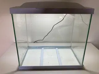 Akvarie, Superfish