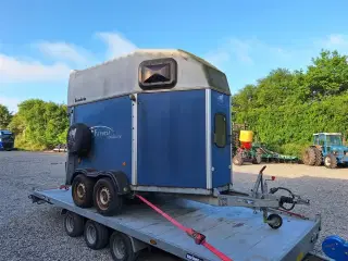 Brenderup 33 K HESTETRAILER