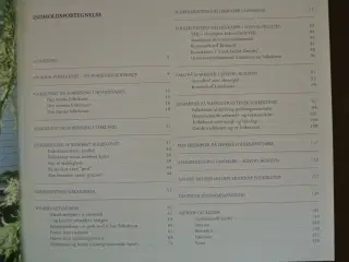 folkekunst - kun fantasien sætter grænser, af hell