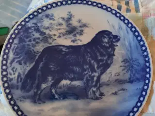 Tove Svendsen, hunde platter