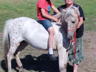 Pony 3år 125cm hoppe