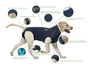 Medical Pet Shirt hund - blå Xxxxs