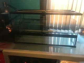 terrarium