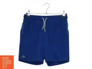 Lacoste shorts / badebukser / badeshorts (str. 140 cm)