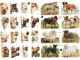 Glansbilleder, hunde, ark 16,5x23,5 cm, 2ark/ 1 pk.