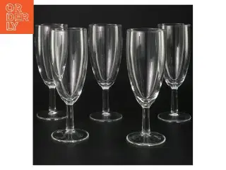 Champagneglas, 5 stk (str. 5 stk Ø 5 cm længde 15 cm)