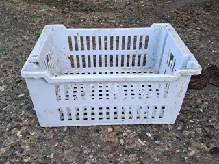 Opbevarings kasser har 30 stk.