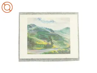 Billedet i glasramme (str. LB: 40 x 30 cm)