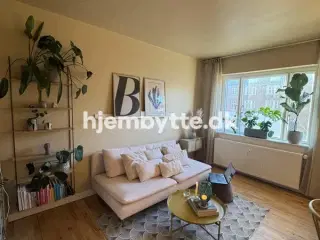 Hjembytte - BorupsAllé