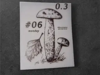 Mykologisk Mesterværk – svampeillustration med tek