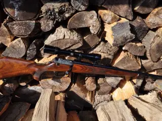 Mauser 66s custom