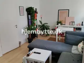 Hjembytte - Ringstedvej