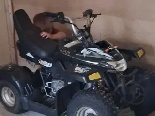 Plindberg kitten 50cc