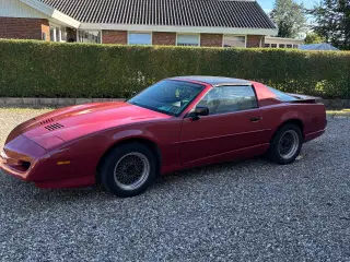 Pontiac Trans Am Targa 5.0 V8