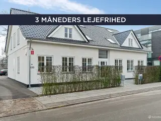 3 MÅNEDERS LEJEFRIHED