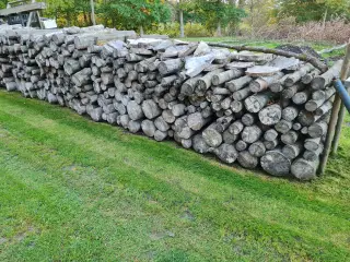 Løvtræ, Ahorn i meterstykker