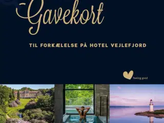 Gavekort til Hotel Vejlefjord