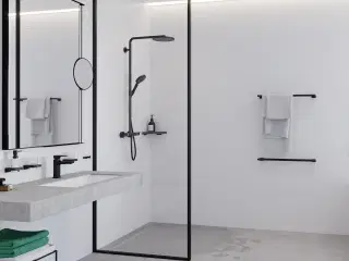 Hansgrohe Raindance S-240. NY. 