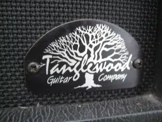Tangelwood "tube amp"