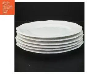 6 Rosenthal Maria frokosttallerkner (6 stk, ø 22 cm)