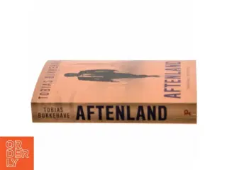 Aftenland : spændingsroman af Tobias Bukkehave (f. 1980) (Bog)