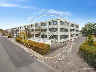 Hyggelig fælles have til sommeren