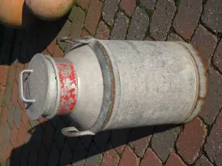 Mælkejunge