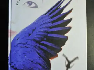 trækopfuglens krønike, af haruki murakami, genre: 