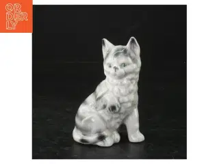 Porcelænskat