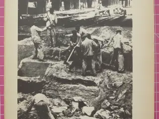 Krig; Sachsenhausen