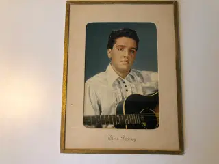 Billede af Elvis Presley