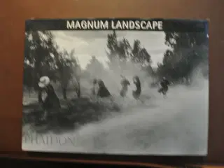 magnum landscape, emne: kunst og kultur