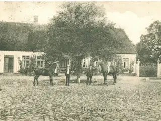 Lisbetsminde, Tappernøje, 1912