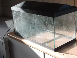 Akvarium