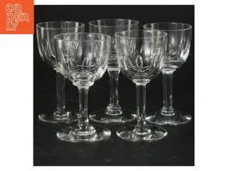 Vin glas sæt, 5 styk (str. 10 cm. 5 styk)