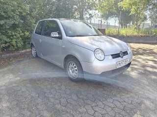 VW Lupo 3l - syn 2025, oktober