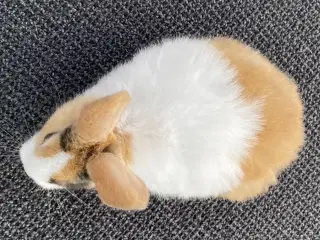 HOLLÆNDER HAN JAPANER SORT/GUL