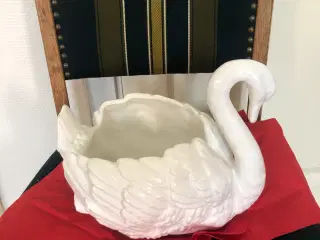 En flot stor svane