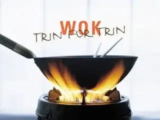Wok Trin for Trin - Hanne Holm